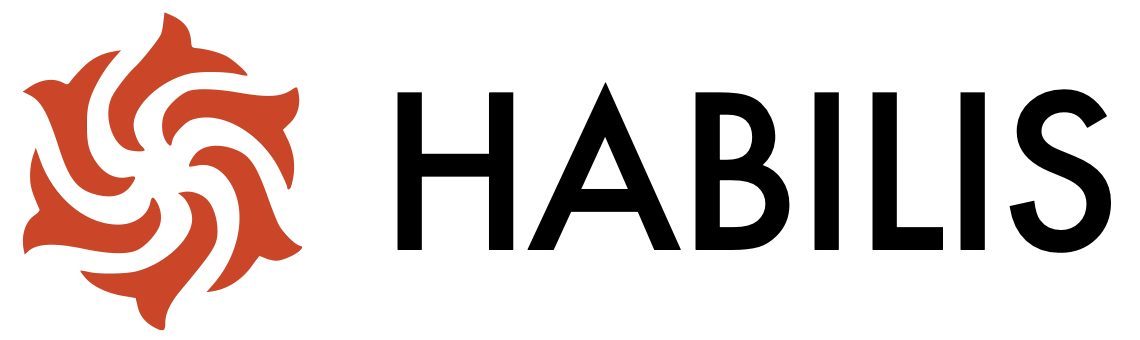 HABILIS | Professional Digital Marketing & Web Design Agency Kent, UK